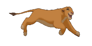 Gif animé lionne court